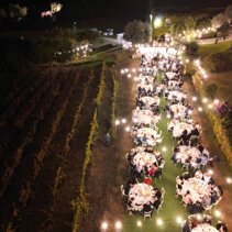 whatsapp image 2025-11-01 at 14 whatsapp image 2025-11-01 at 14